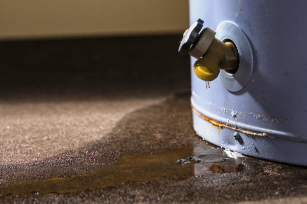 Best Carpet water damage restoration  in Fort Hunt, VA