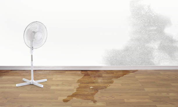 Best Fire Damage Restoration  in Fort Hunt, VA
