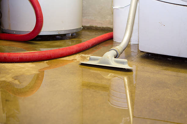 Best Water damage cleanup near me  in Fort Hunt, VA