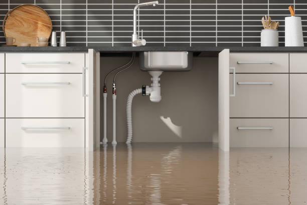 Best Water damage restoration specialists  in Fort Hunt, VA