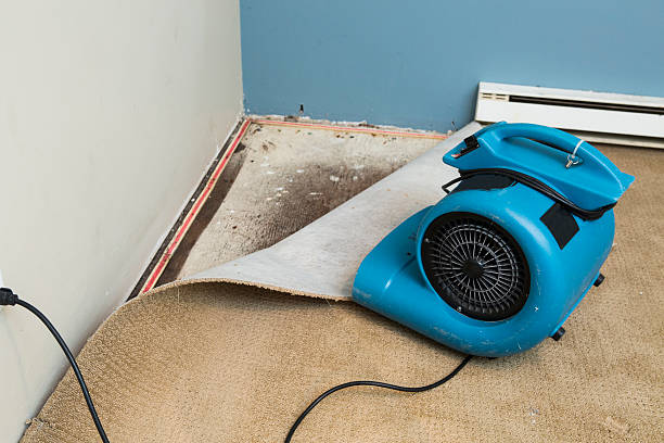 Best Ceiling water damage repair  in Fort Hunt, VA